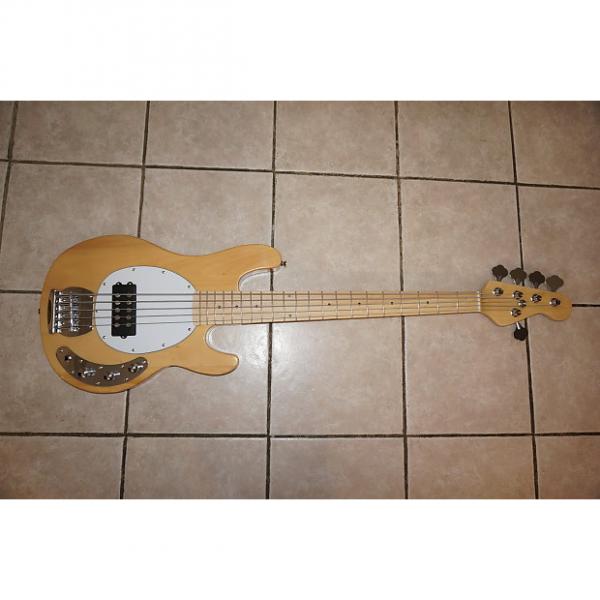 Custom 5 string bass guitar, New #1 image