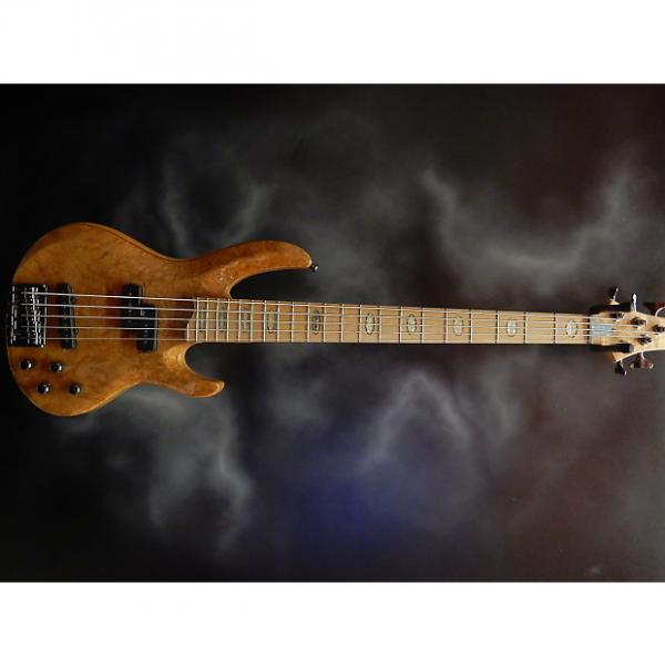 Custom ESP RB-1005 Burled Maple 5 string Bass #1 image