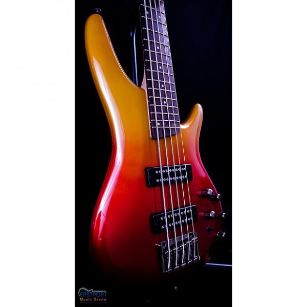 Custom Ibanez SR305E AFM 5 String Bass in Autumn Fade Metallic #1 image