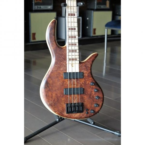 Custom Elrick  Gold Series-2017 NAMM Show Bass #1 image