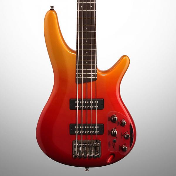 Custom Ibanez SR305E Electric Bass, 5-String, Autumn Fade Metallic #1 image