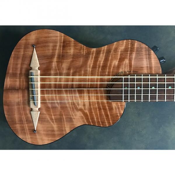 Custom Rick Turner RB-5 Renaissance Fretted 5 String Bass 2016 Flame Redwood Top #1 image