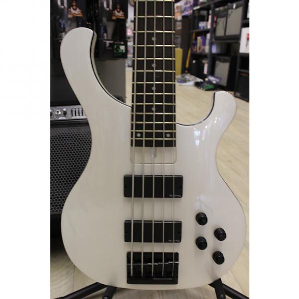 Custom Cort T55 5 String Active Bass with EMG HZ Pickups #1 image