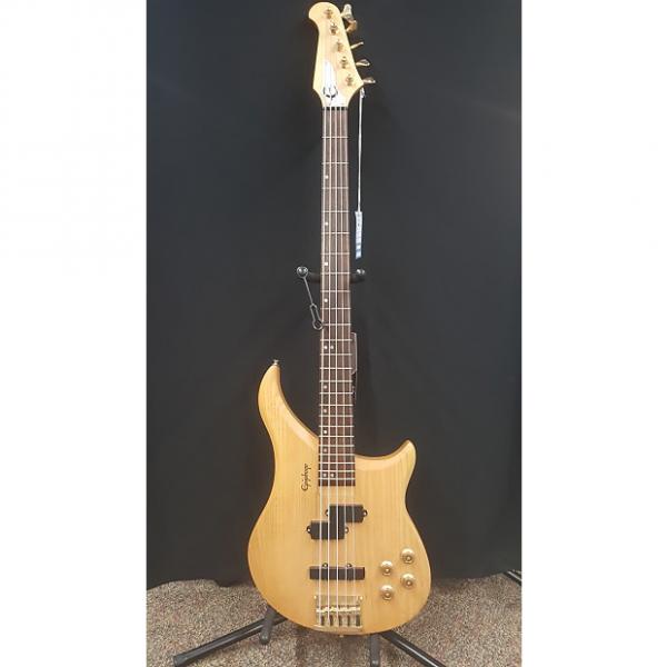 Custom Epiphone EBM-5a bass guitar #1 image