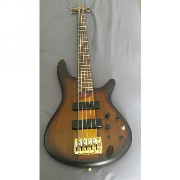 Custom Ibanez SR755 5 String Bass Guitar #1 image