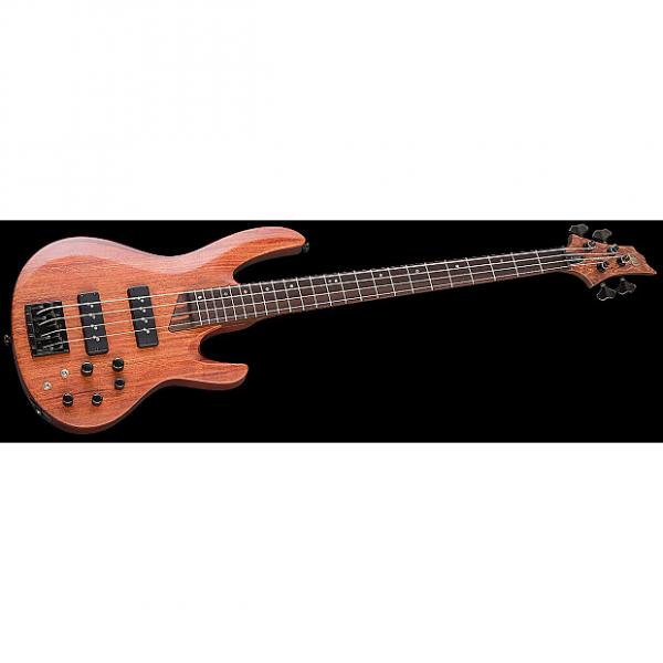 Custom ESP LTD B-1004SE Bubinga Top Electric Bass in Natural Satin #1 image