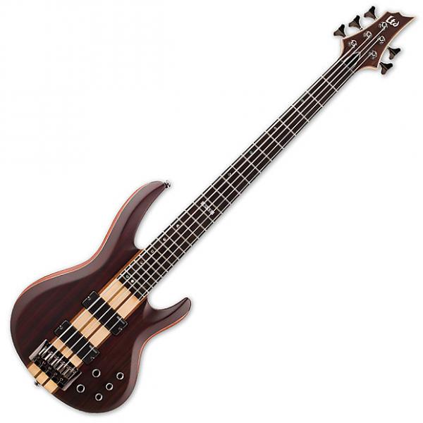 Custom ESP LTD B-5E Bass in Natural Stain #1 image