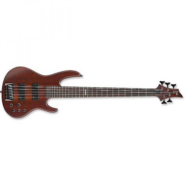 Custom ESP LTD D-5 Bass in Natural Stain #1 image