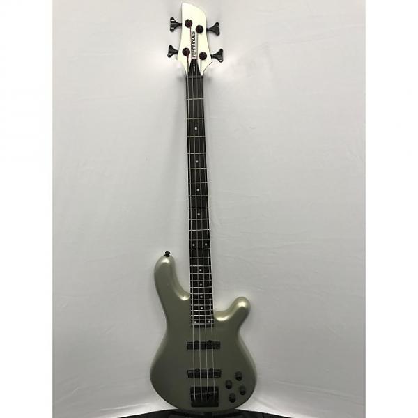 Custom Fernandes Gravity 4 Deluxe Electric Bass - Pewter #1 image