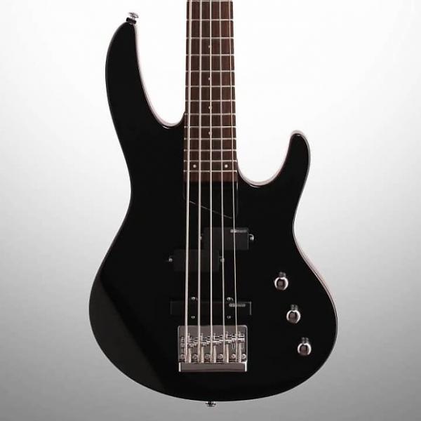 Custom ESP LTD B-55 5-String Electric Bass #1 image