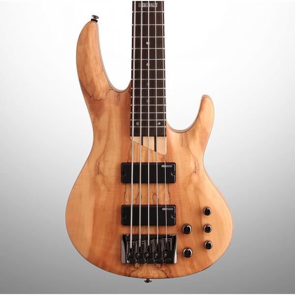 Custom ESP LTD B205SM Electric Bass, 5-String, Natural Satin #1 image