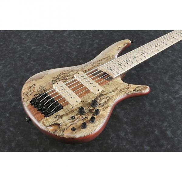Custom Ibanez SR5SMLTD Spalted Maple Limited Edition 5 String Bass #1 image