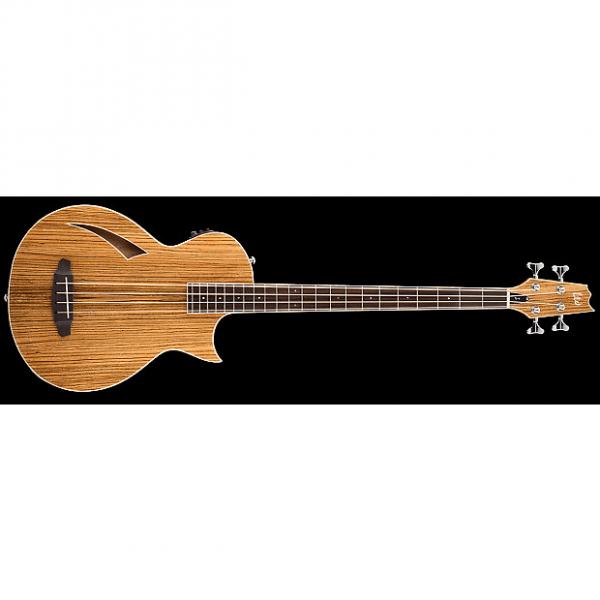 Custom ESP LTD TL-4Z Thinline Series Acoustic Electric Bass Guitar Zebrawood Natural Transducer w/ Fishman Pickup Preamp LTL-4ZNAT #1 image