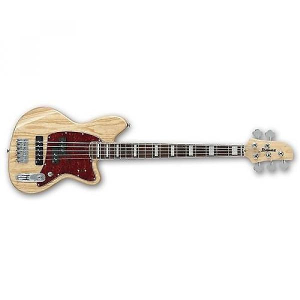 Custom Ibanez Talman TMB605 5-String Electric Bass Guitar #1 image