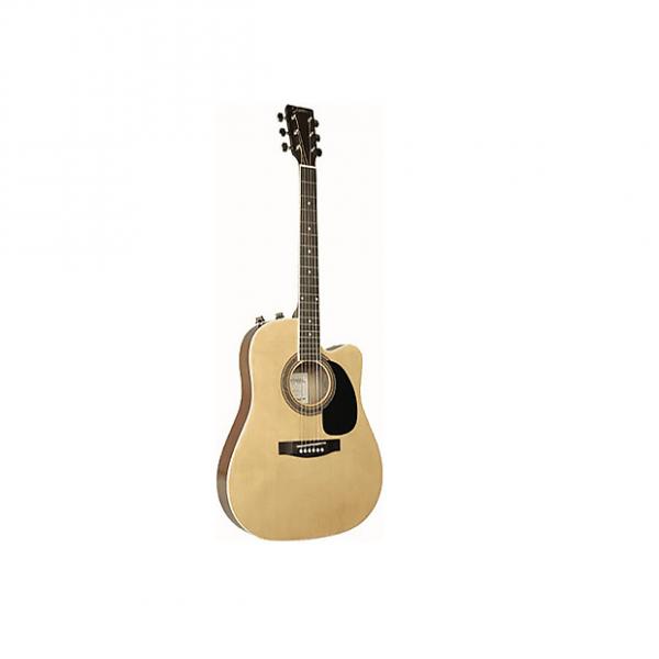 Custom Johnson Spruce Top Thinbody Acoustic Electric Guitar with pickup  Model:  JG-650-T #1 image