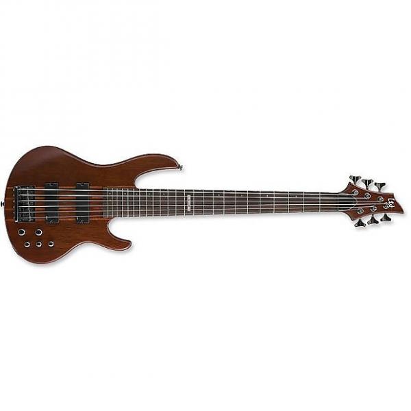 Custom ESP LTD D-6 Bass in Natural Stain #1 image
