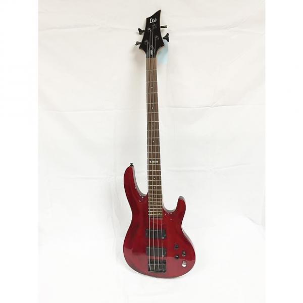 Custom ESP LTD B-104 Electric Bass #1 image