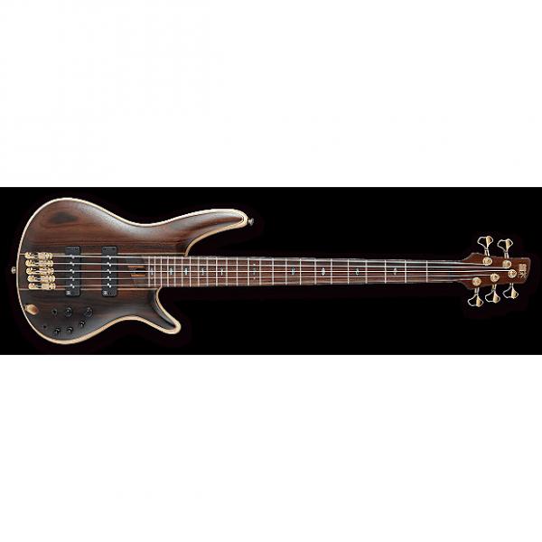 Custom Ibanez SR1905ENTL SR Premium 5-String Rosewood Electric Bass Natural Low Gloss #1 image