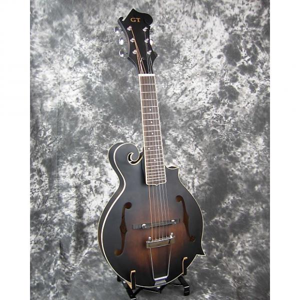 Custom Brand new Gold Tone F6 guitar/mandolin w/ case #1 image