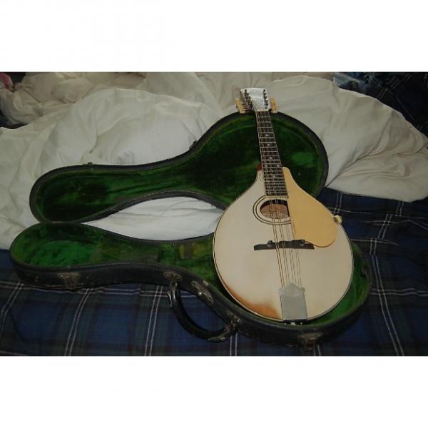 Custom Gibson A3 Mandolin 1919 White Top, Wine back and sides #1 image