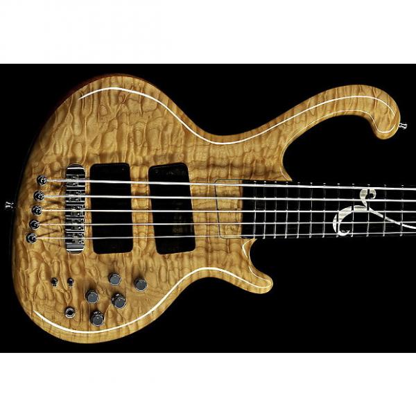 Custom Ritter Roya 5-String Bass - Quilted Maple Top - Wynn Inlay (Solid Silver) #1 image