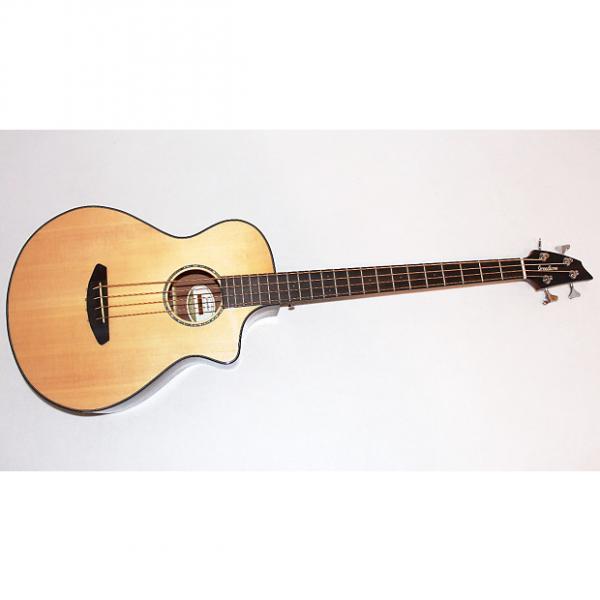 Custom Breedlove Pursuit Acoustic Electric Bass Guitar #1 image