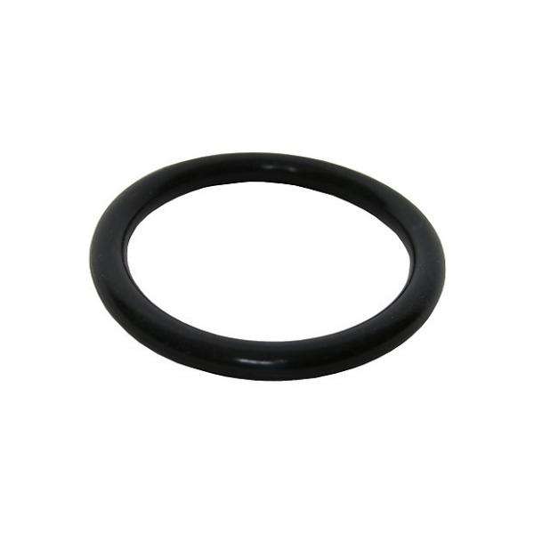 Custom Idiopan 4-Inch Display Ring - Black #1 image