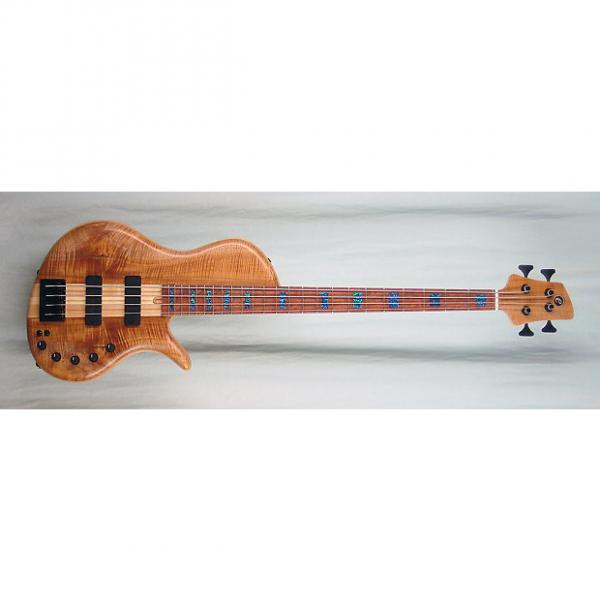 Custom Elrick Handcarved e-volution 4-String Bass Guitar, Platinum Series, Bubinga Fingerboard #1 image