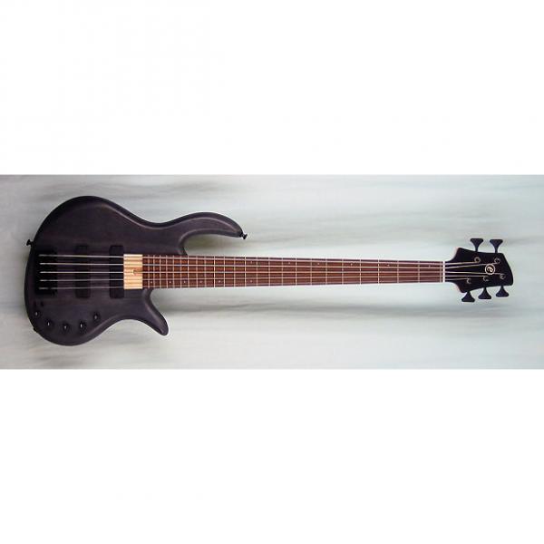 Custom Elrick Expat Handmade e-volution 5-String Bass Guitar, Black Satin Finish, Wenge Fingerboard #1 image