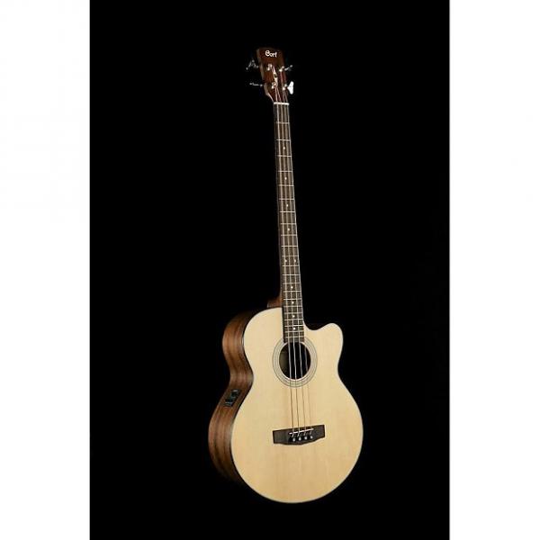 Custom Cort SJB5 Acoustic Bass #1 image