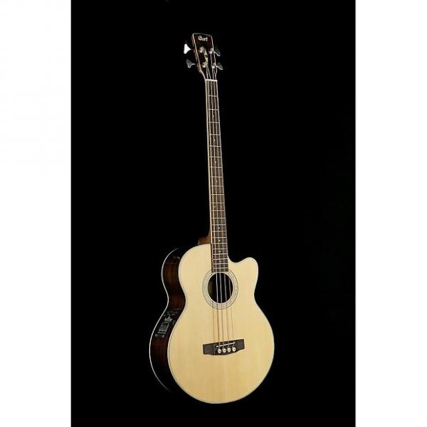 Custom Cort SJB6 Acoustic Bass #1 image