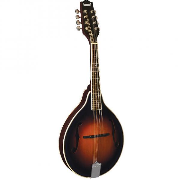 Custom Morgan Monroe MM-100AM A-Style Mandolin #1 image