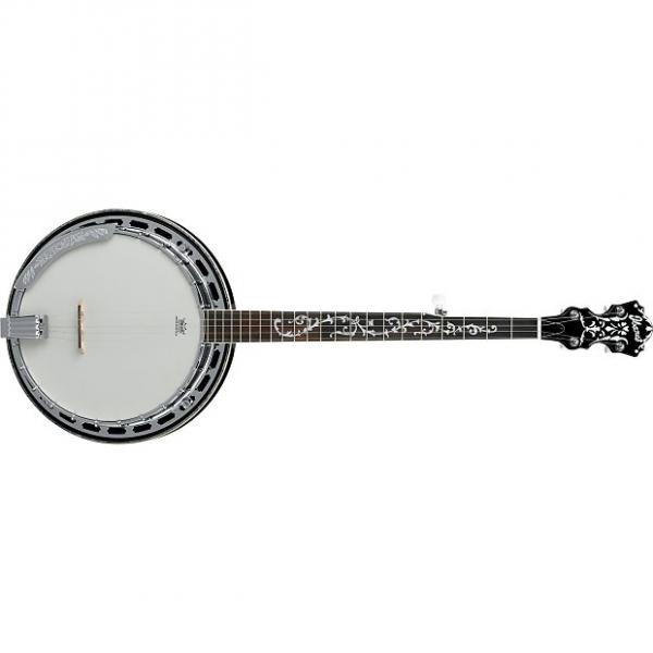 Custom Ibanez B-300 5-String Banjo #1 image