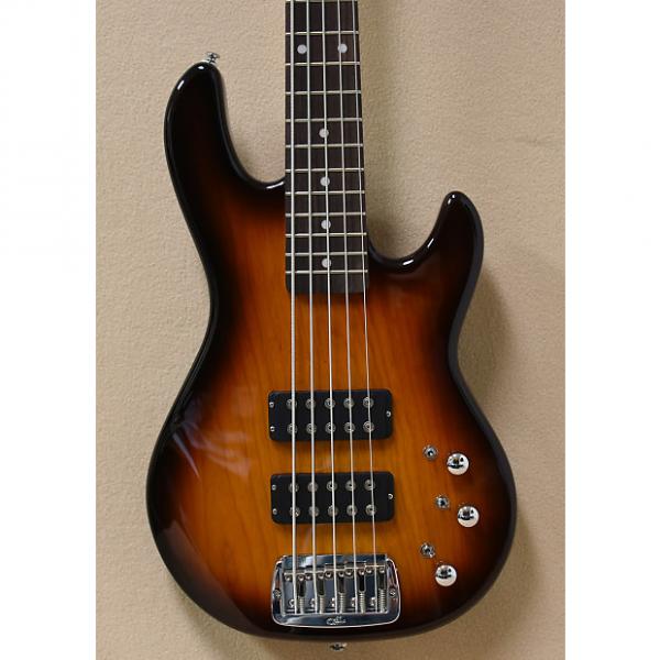 Custom G&amp;L Tribute L2500 Electric 5 String Bass in Tobacco Burst #1 image