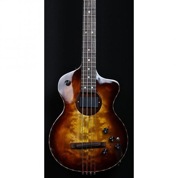 Custom Rick Turner  Model 1 Bass Custom 2016 Sunburst #1 image