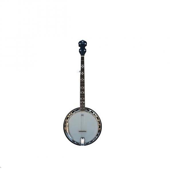 Custom Danville Banjo - 24 Bracket, Mother of Pearl Inlaid, Mahogany Neck, Rosewood Fretboard - #BJ-009 #1 image