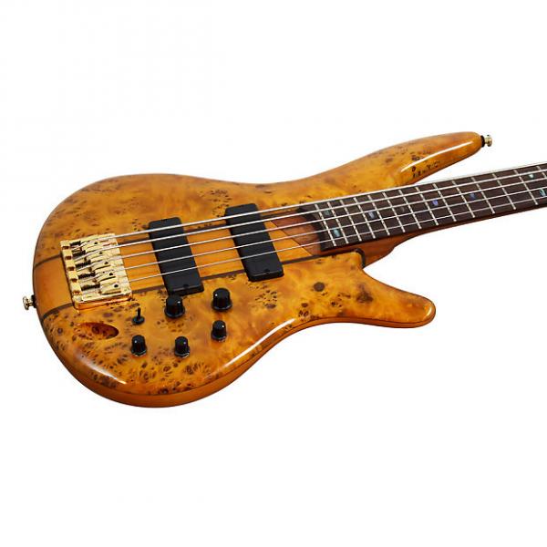 Custom Ibanez SR805 AM Standard Poplar Burl Amber Electric Bass #1 image