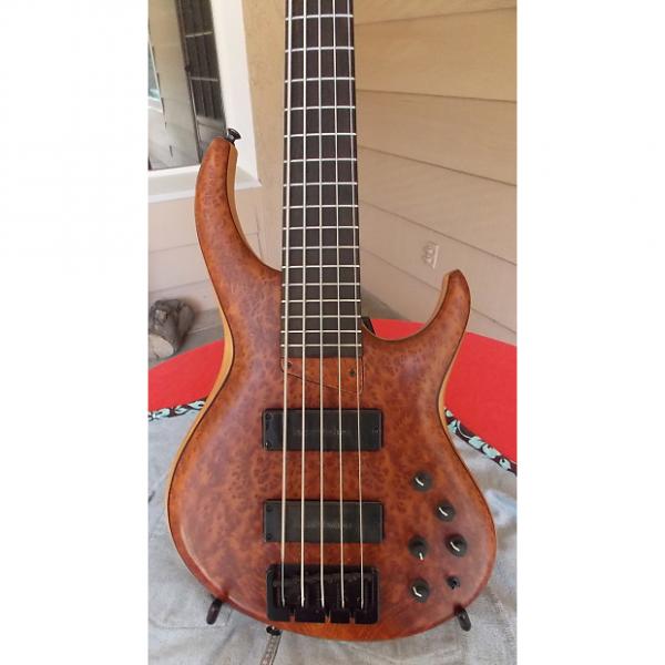 Custom MTD 535-24 Marilyn chambered bass! Amazing Redwood burl top! Beautiful, lightweight! MAKE OFFER! #1 image
