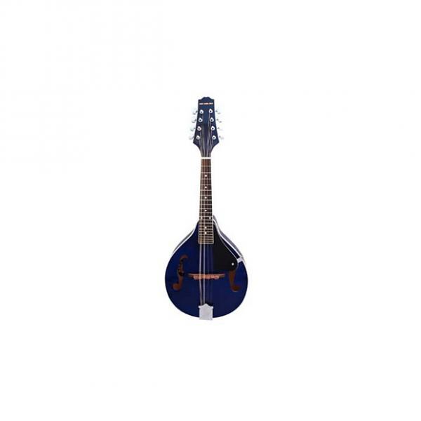 Custom Stadium A-Style Mandolin (Blue) model: #M-1 #1 image