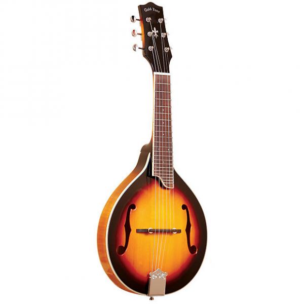 Custom Gold Tone GM-6 6-String A-Style Mandolin Guitar (Maple) #1 image