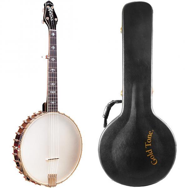 Custom Gold Tone CEB-5 Cello Banjo (Octave Lower, Five String, Vintage Mahogany) with Hard Case #1 image