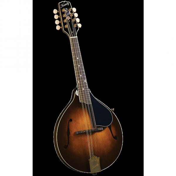 Custom Kentucky KM-500 Mandolin - No Case #1 image