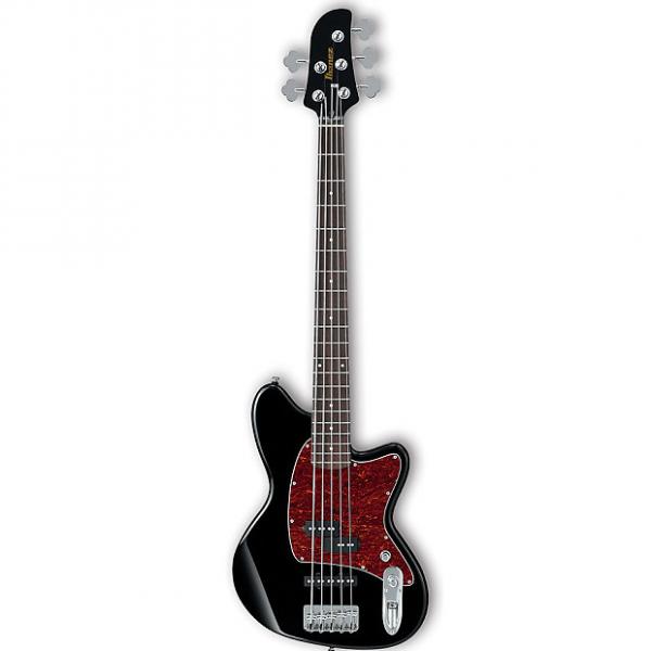 Custom Ibanez TMB105 Black 5-String Talman Bass Guitar #1 image