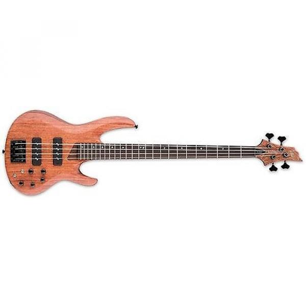 Custom ESP LTD B-1004SE 4-String Bass Used #1 image