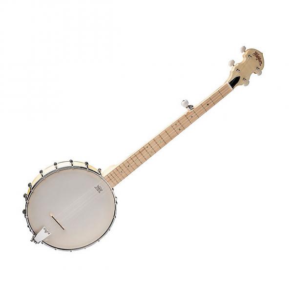 Custom Washburn B102 Five String Banjo #1 image