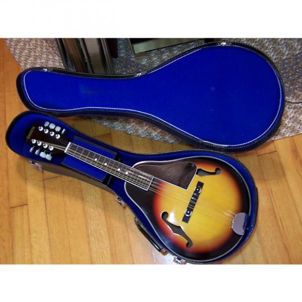 Custom Global Vintage Mandolin M100 &amp; Original Case #1 image