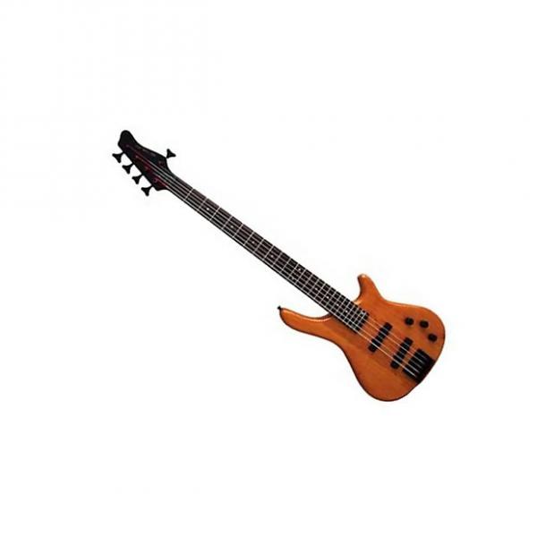 Custom Stadium 5 String Bass Guitar #NY-9703 #1 image