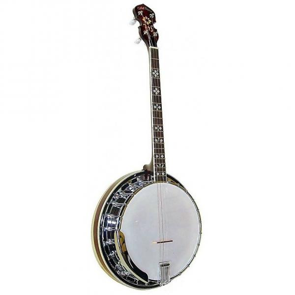 Custom Banjo Tenor Special Gold Tone TS-250 #1 image