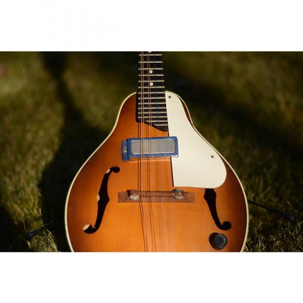 Custom Kay Model K495 :: Electric Mandolin :: 1966 :: Sunburst :: US Made #1 image