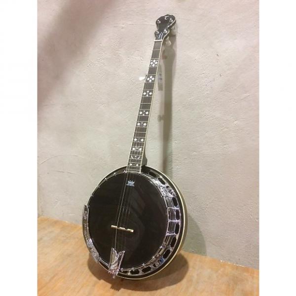 Custom Tanglewood TWB-PRO-5 5 String Banjo, 24 Brackets, Mahogany Resonator,Tone Ring,  Remo Black Head #1 image